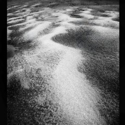 DuneSand