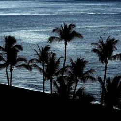 Maui09