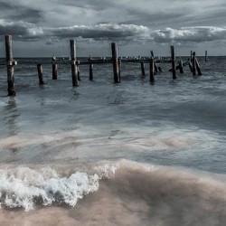 Birdpier