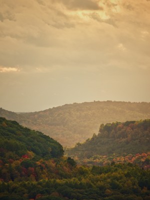 Autumn Days