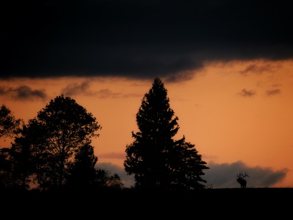 Benezette Sunset Version 2 Print