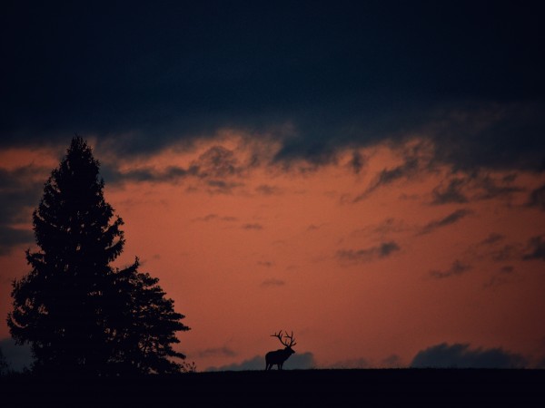 Benezette Sunset Version 3 Print