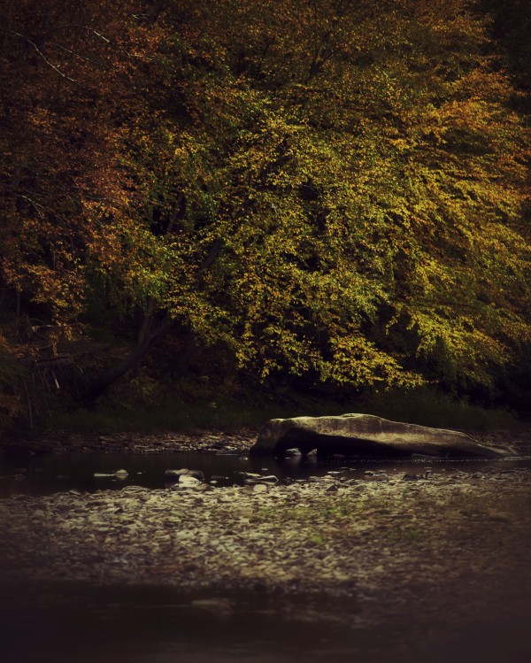 Autumn Splash Print