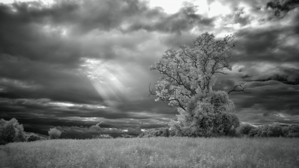 Light Without Color Print