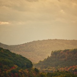 Autumn Days