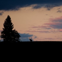 Benezette Sunset Version 1