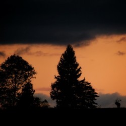 Benezette Sunset Version 2
