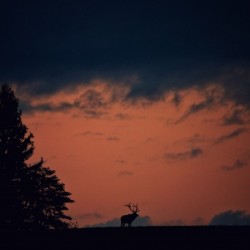 Benezette Sunset Version 3