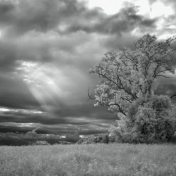 Light Without Color