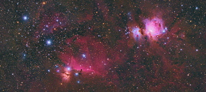 Orion
