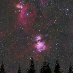 Lever d Orion
