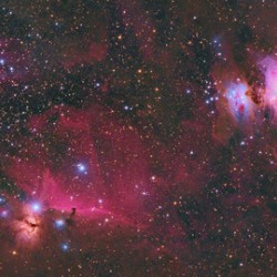 Orion
