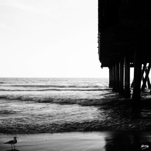 07_ SEA STRUCTURES_DOWN UNDER THE SANTA MONICA PIER VII by Ivan Attila
