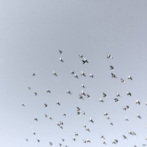 14_ SEA STRUCTURES_COLLECTIVE FREEDOM