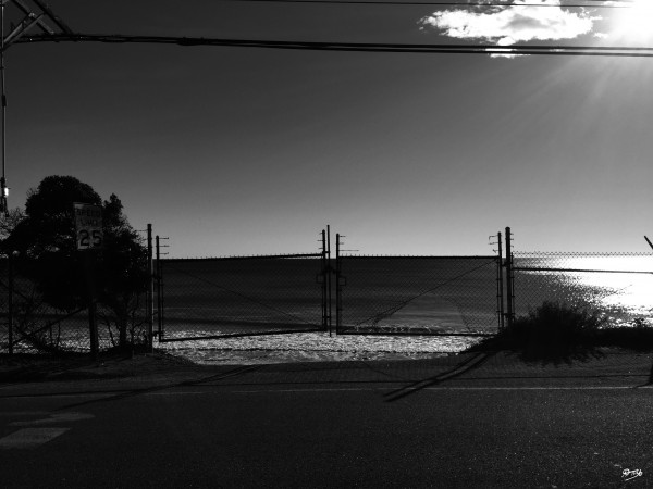 08_ SEA STRUCTURES_MALIBU GATE Print