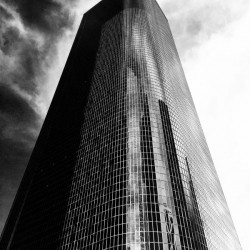 CORPORATE NIGHTMARES II