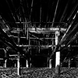 01_ SEA STRUCTURES_DOWN UNDER THE SANTA MONICA PIER I