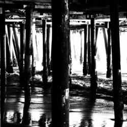 02_ SEA STRUCTURES_DOWN UNDER THE SANTA MONICA PIER II