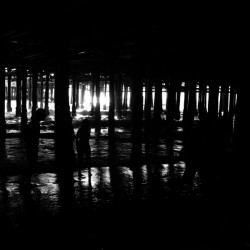 04_ SEA STRUCTURES_DOWN UNDER THE SANTA MONICA PIER IV