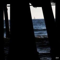 06_ SEA STRUCTURES_DOWN UNDER THE SANTA MONICA PIER VI
