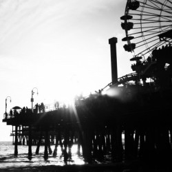 05_ SEA STRUCTURES_DOWN UNDER THE SANTA MONICA PIER V