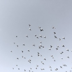 14_ SEA STRUCTURES_COLLECTIVE FREEDOM