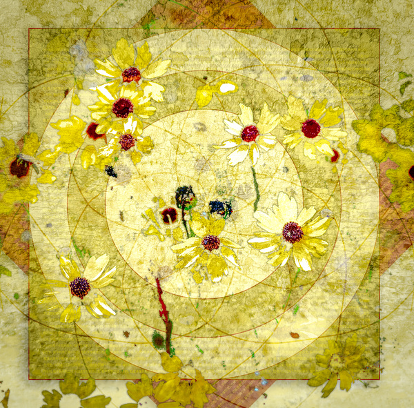 Coreopsis Print