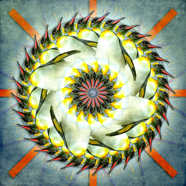 Emperor Penguin Print