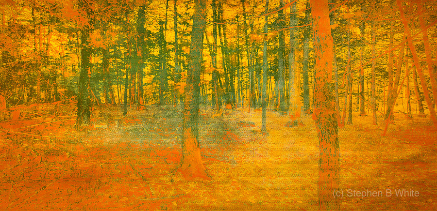 Photos to Canvas