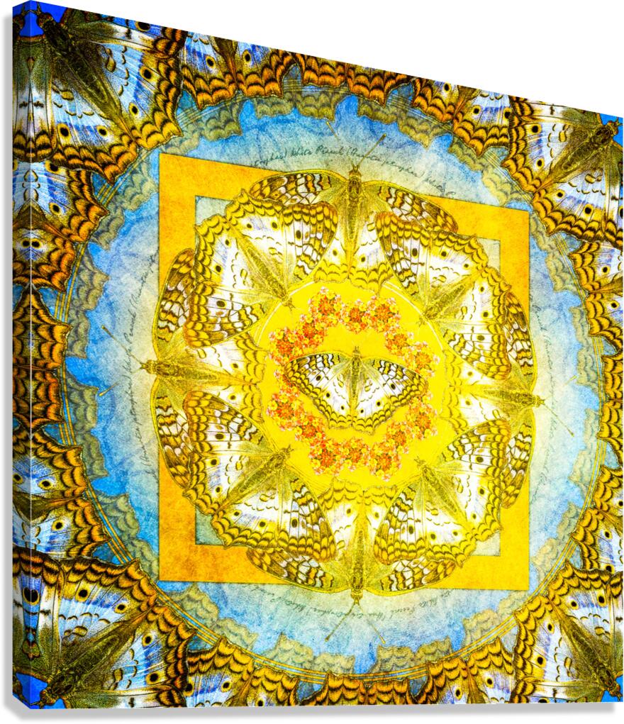 White Peacock Canvas Print