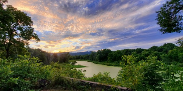 20200801_195954 Print