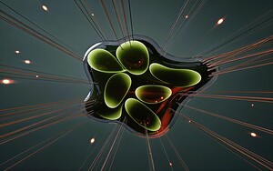 Abstract Extensions  3 