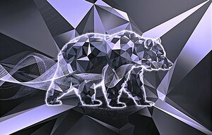 Bear Architecture 