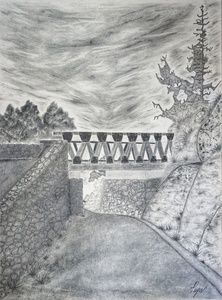 Mt.Rubidoux :Night Walk charcoal
