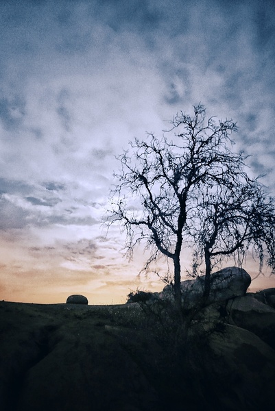 HAUNTED DAWN by Adrian500