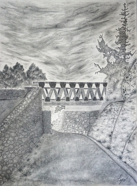Mt.Rubidoux :Night Walk charcoal by Adrian500