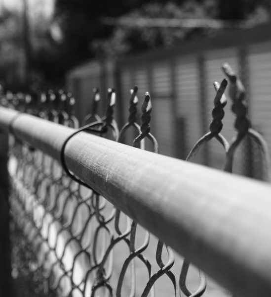 ON THE FENCE by Adrian500