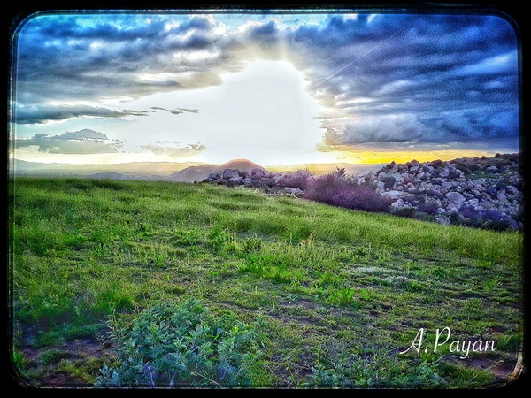The Light Print