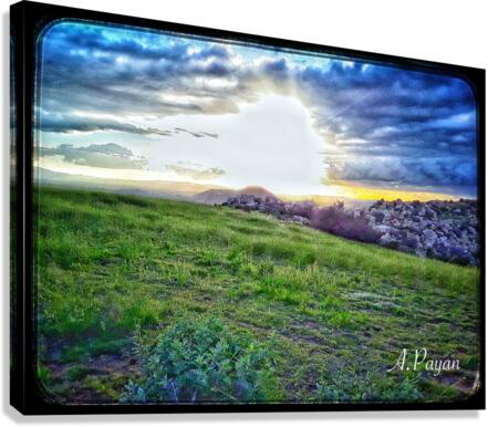 The Light Canvas Print
