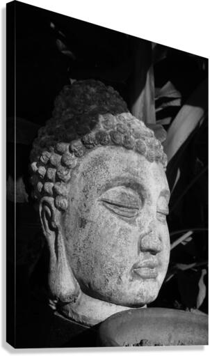 Mindfulness Canvas Print
