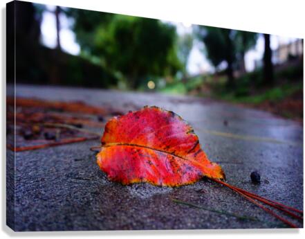 changes Canvas Print