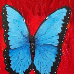 Blue Morpho Butterfly