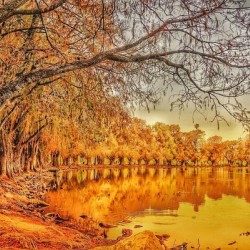 Fantasy Park Walk Golden Hour