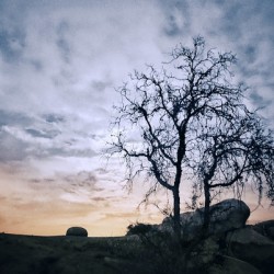 HAUNTED DAWN