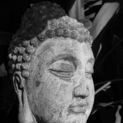 Mindfulness