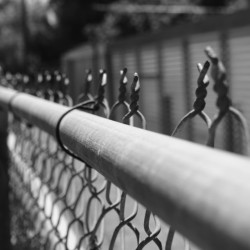 ON THE FENCE