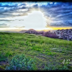 The Light