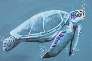 TurtleExplorer