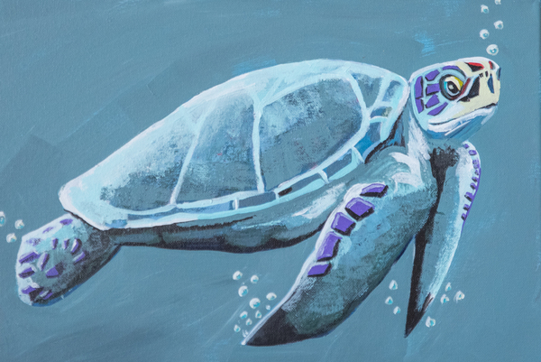 TurtleExplorer Print