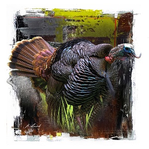 Double Gobble